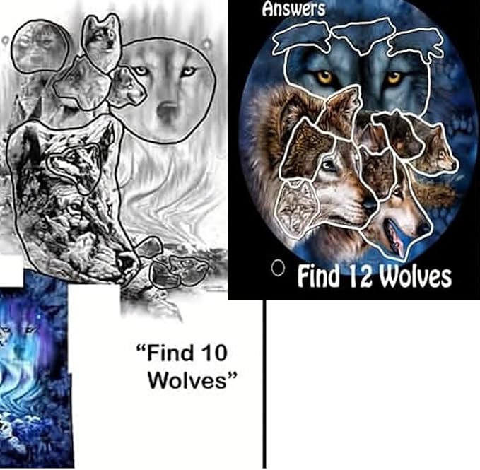 Remorelt Wolf Dream Catchers，3-Layer Circle Wall Hanging with Different Wolf Art for Wolf Lover Room Decor,Ideal Bedroom Wolf Home Decor,Dream Catcher for Boy Kids(DC01 6Inch Wolves)