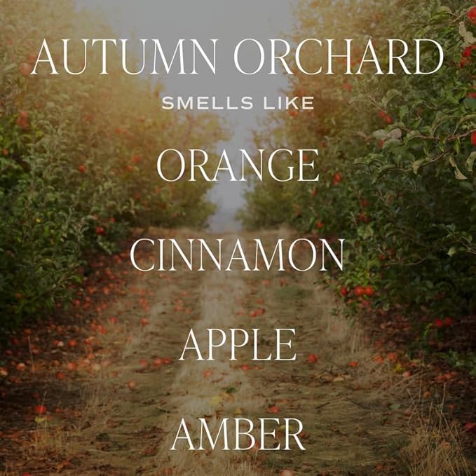 Sweet Water Decor Autumn Orchard Candle, Autumn Scented Notes of Citrus, Cinnamon, & Apples, 40+ Hour Burn Time, Non-Toxic Soy Wax Blend, Poured in The USA, Cotton Wick, 9oz Glass Jar with Gold Lid