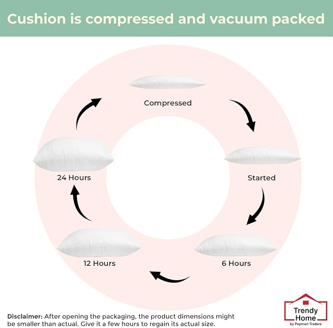 Trendy Home 20x20 Throw Pillow Insert (Set of 2, White) Bed and Couch Pillows Stuffer Hypoallergenic, Decorative Home Indoor Outdoor Sofa Pillow Filler (Non Woven, 2 Pack)