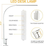 LED Desk Lamp with Clamp, Eye-Protection Clip on Desk Lamp, 5 Modes 10 Brightness Adjustment, 360°Flexible Gooseneck Lamp for Home Office, Lamps with USB Adapter，White