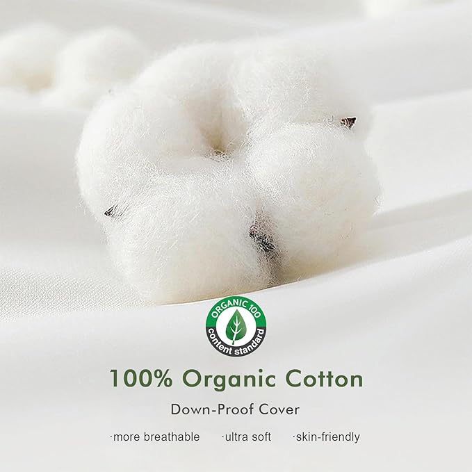 Feathers Down Pillow Inserts 14x14, Set of 2, 100% Organic Cotton Shell, Soft Decorative Square Throw Pillows for Living Room Sofa, Couch, or Bed (White)