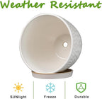 G EPGardening 6 Inch Plant Pot for Indoor Plants Outdoor Round Ceramic Planter Decorative Flower Pot with Drainage Hole and Saucer White