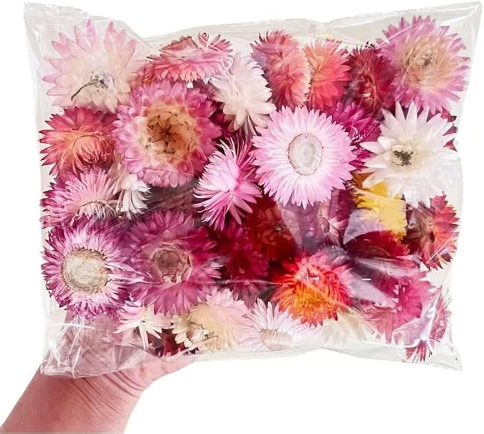 Dried Flower Pink Straw Daisy Biodegradable Confetti - Real Flower Petals for Weddings, Flower Girl Toss, Wedding Send Off Ideas, Party Table Decoration | Boxed - 8oz (0.5lbs)