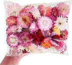 Dried Flower Pink Straw Daisy Biodegradable Confetti - Real Flower Petals for Weddings, Flower Girl Toss, Wedding Send Off Ideas, Party Table Decoration | Boxed - 8oz (0.5lbs)