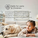 AromaPlan Natural luxurious Room Spray & Car Fragrance Kit, Dream On- Concentrated, Non-Toxic, Odor Eliminator & Long Lasting- Room Spray Air Freshener- Home, Car - 5 Star Hotel (100&30 ml)