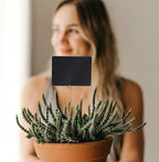 Ring Loop Round Shape Craft Wire Clip Table Card Holders Note Photo Picture Memo Holder for Party Birthday Office DIY Cake Topper Accessories Decoration,30 Pack Silver (Round Shape)