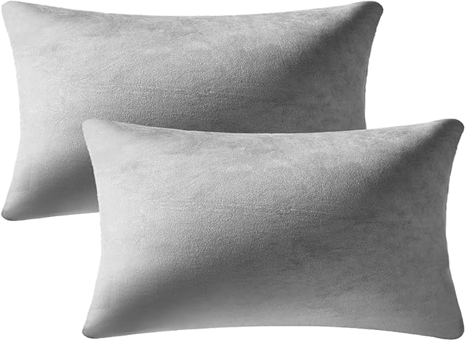 Decorative Pillow Cases 12x20 Light-Grey: 2 Pack Cozy Soft Velvet Rectangular Throw Pillow Covers for Farmhouse Home Decor