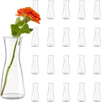Small Clear Glass Bud Vases 20Pcs Mini Vases for Flowers Tulip Eucalyptus Plants, Glass Flower Vases for Centerpieces Dining Table, Clear Bud Vases Bulk for Wedding Party Bridal Shower Home Decor