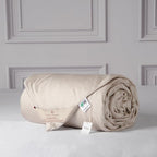 CUDDLE DREAMS Lightweight Silk Filled Comforter for Summer, Detachable Tencel Duvet Cover for Easy Care, Naturally Breathable (Light Pewter, Queen)