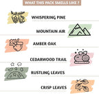 Folkulture Incense Sticks with Holder | Set of 6 (120) Fall Insence-Sticks with 45 Min Burn Time | Cedarwood, Amber Incenses | Organic, Non Toxic Fall Scents | Inscent-Stick or Fall Essentials