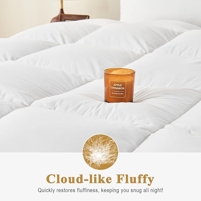 100% Organic Feather Down Comforter Full/Queen Size, Luxury Extra-Fluffy Duvet Insert, All Season Bed Comforter with Ultra-Soft Organic Cotton Case (90x90 Inch, Ivory White)