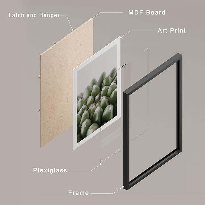 SIGNWIN Framed Tropical Island Wall Art, Set of 4 Green Desert Plant Cactus Snake Plant Wall Decor Prints, Nature Wilderness Wall Décor for Living Room, Bedroom - 11"x14"Black