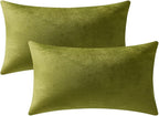 Couch Pillow Cases 12x20 Chartreuse: 2 Pack Cozy Soft Velvet Rectangular Throw Pillow Covers for Farmhouse Home Decor