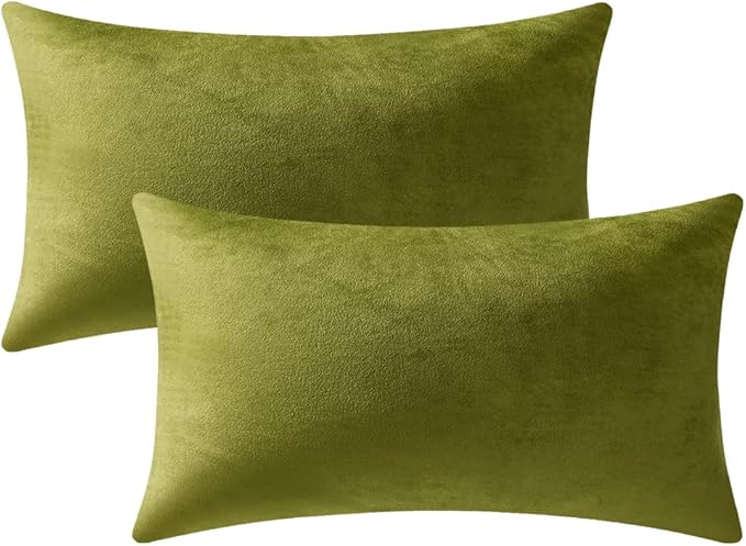 Couch Pillow Cases 12x20 Chartreuse: 2 Pack Cozy Soft Velvet Rectangular Throw Pillow Covers for Farmhouse Home Decor