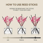 COCODOR Preserved Real Flower Reed Diffuser/Refreshing Air / 6.7oz(200ml) / 1 Pack/Reed Diffuser Set, Oil Diffuser & Reed Diffuser Sticks, Home Décor&Office Decor, Fragrance and Gifts