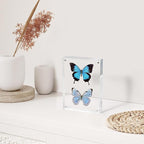 SYNTRIFIC 36 PACK Magnetic Picture Frame,4X6 Acrylic Frame Double Sided Picture Frame,20mm Thickness Magnetic Premium Acrylic Picture Frames Gifts Ideal