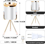 Spot Lights Indoor Floor Lamp, 6W Uplighting Indoor with Remote, Dimmable & Timer & 3 Color Temperatures, 2700K to 6500K Floor Can Lights for Plants Pictures Corner Ambient Lighting, 2 Pack