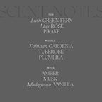 Antica Farmacista Home Ambiance Diffuser,Hana Lei,8.45 Fl Oz