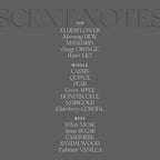 Antica Farmacista Room Spray - Elderflower, 3.4 Fl Oz (Pack of 1)