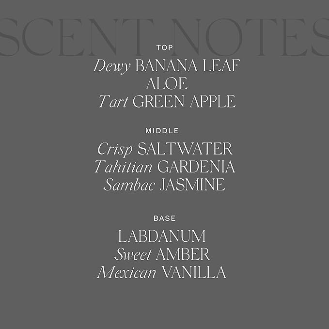 Antica Farmacista Home Ambiance Diffuser, Lush Palm, 16.9 Fl Oz