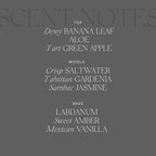 Antica Farmacista Home Ambiance Diffuser, Lush Palm 8.45 Fl Oz