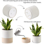 Nihow Self Watering Plant Pot: 6 Inch Ceramic Planter with Drainage Hole & Water Storage Plus for Indoor & Outdoor Plants - Cylinder Round Flower Pot for Succulent/Herbs/Violets - White & Brown