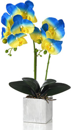 Artificial Potted Orchid Faux Phalaenopsis Silk Flowers Bonsai Realistic Arrangement in Silver Vase for Home Decoration Table Centerpiece, Blue/Yellow