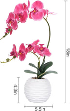 Artificial Potted Orchid Faux Phalaenopsis Silk Flowers Bonsai Realistic Arrangement in Ceramic Vase for Home Decoration Table Centerpiece, Rose Red