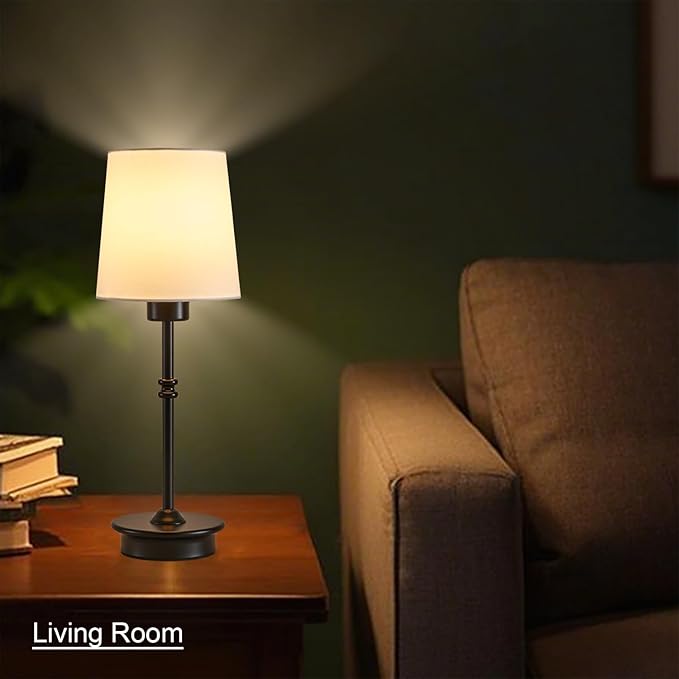 Rechargeable Cordless Table Lamp, Black Battery Operated Desk Lamps with Detachable LED Bulbs, 13 Colors Dimmable Bedside Lights for Bedroom, Bar, Night Light, Camping