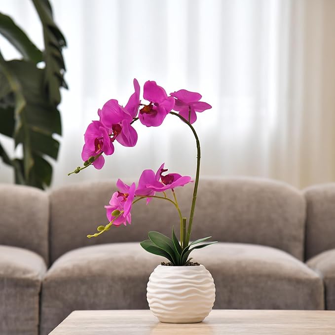 Artificial Potted Orchid Faux Phalaenopsis Silk Flowers Bonsai Realistic Arrangement in Ceramic Vase for Home Decoration Table Centerpiece, Fuchsia