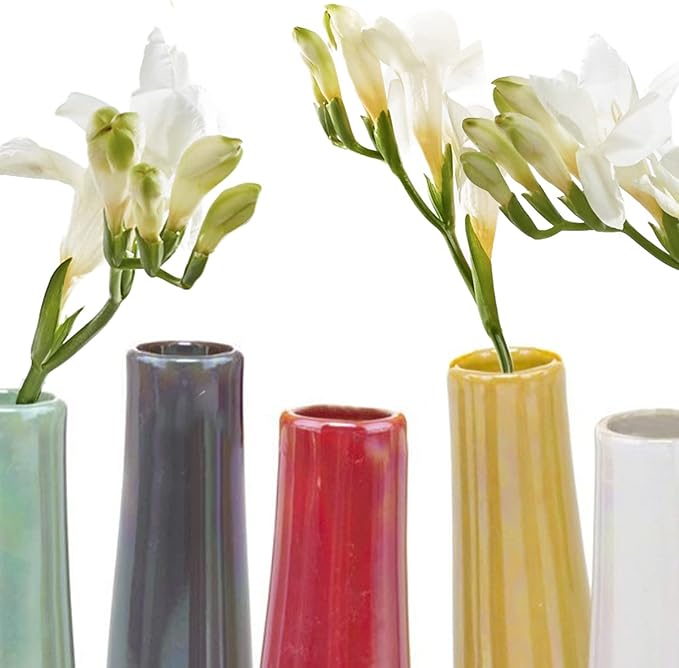 Chive - Set of 6 Galaxy, 1.5" in Wide 5.5" Tall Small Cylinder Ceramic Bud Flower Vase, Unique Single Flower Decorative Flower Vase for Home Decor