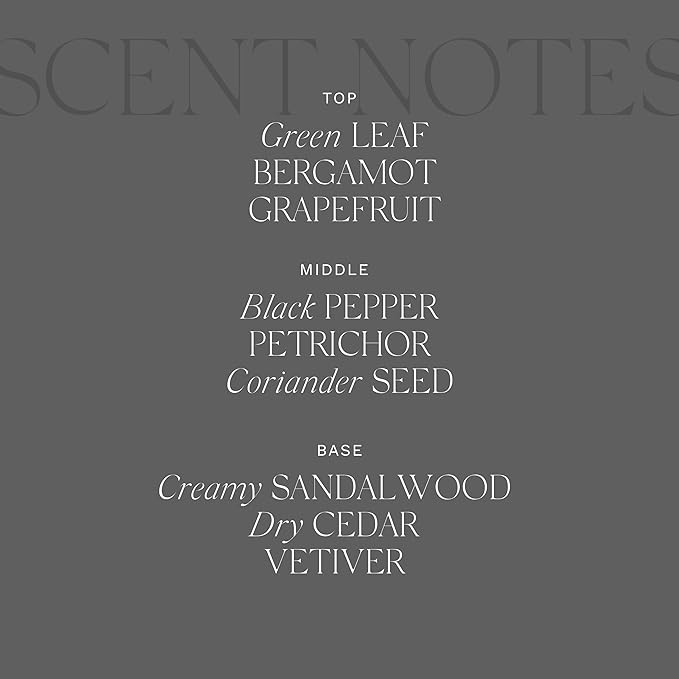 Antica Farmacista Home Ambiance Diffuser,Tarmac, 10.8 Fl Oz