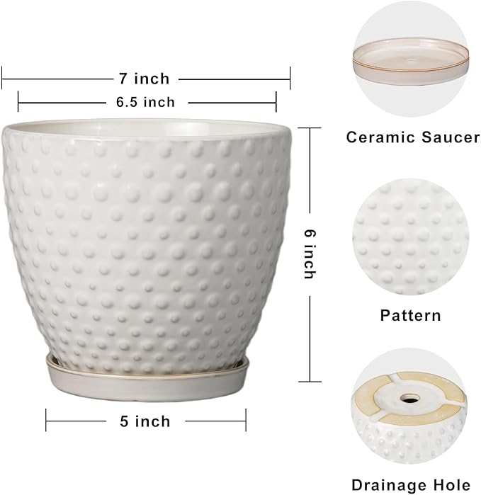 G EPGardening 6 Inch Ceramic Plant Pot with Drainage Hole and Saucer Round Planter Decorative Flower Plant Pot for Indoor Plants Outdoor White