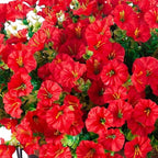 Ivydale Artificial Faux Hanging Flowers Plants Baskets for Outdoors Outside Spring Decoration, Fake Silk Red Morning Glory UV Resistant Look Real for Front Door Porch Patio Balcony Yard Garden Home