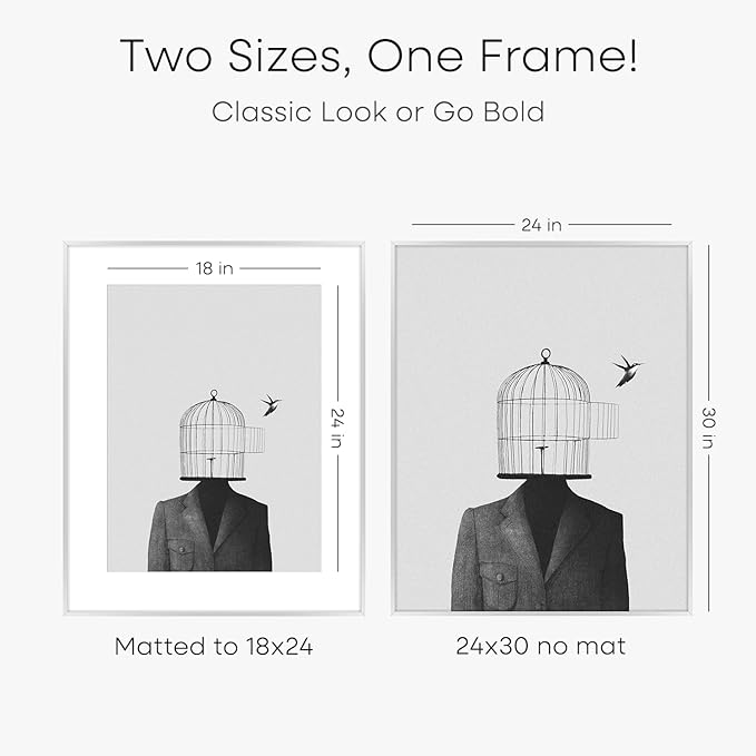 Homeforia Poster Silver Frame 24x30, High End Metal 24 x 30 Large Picture Frames with Mat 18 by 24 for Photo, 24x30 Silver Frames Matted to 18x24 Print, 30x24 Frame, Tempered Glass, Wall Kit, Set of 1