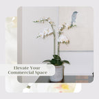 CG Hunter Faux White Orchid Plant, Premium Artificial Indoor Flower Display Stands 24”, Beautiful Sculptural Blooms That Lasts Forever, Grey Planter Pot Included