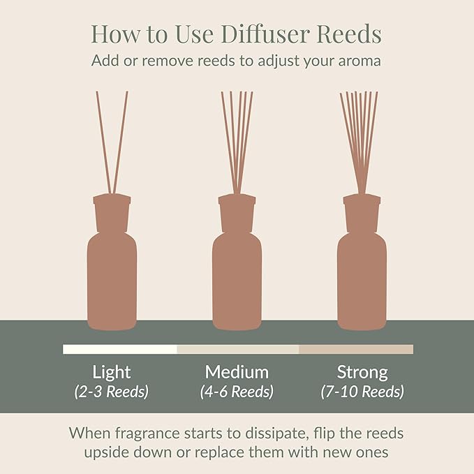 Archipelago Botanicals Black Forest Reed Diffuser, Home Fragrance Reed Diffuser, Includes Fragrance Oil, Decorative Wooden Cap & 10 Diffuser Reeds, Perfect for Home, Office or Gift, 7.85 fl oz