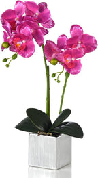 Artificial Potted Orchid Faux Phalaenopsis Silk Flowers Bonsai Realistic Arrangement in Silver Vase for Home Decoration Table Centerpiece, Purple