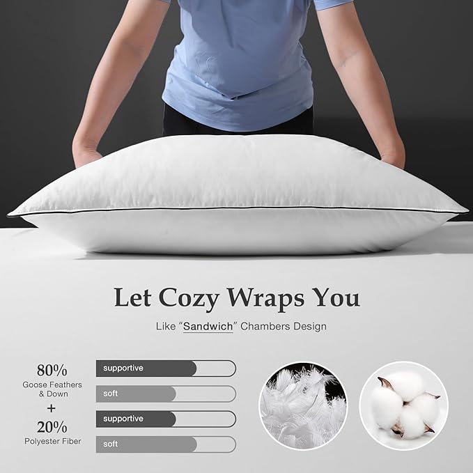 DWR Luxury Goose Feather Down Core Pillow Surrounded by Polyester - Set of 1 - King Size(20"x36") - Medium Firm - 100% Organic Cotton