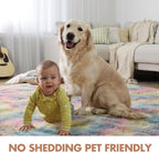 5x7 Ft Shag Kids Colorful Rugs for Bedroom, Ultra Soft Fluffy Furry Area Rugs for Nursery Living Room Indoor Floor, Aesthetic Carpet Home Decor (Rainbow)