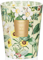 M&SENSE Extra Large Candle Sage Citrus Scented, 3-Wick 35oz 150H Long Lasting, Natural Soy Wax Aromatherapy Candle for Stress Relief, Home Fragrance Housewarming Gifts Candle for Home Decor