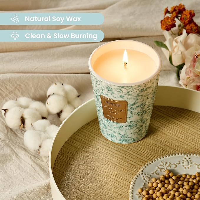 M&SENSE FreshSage Citrus Scented Candles for Home, Lead-Free Wick Highly Scented Jar Candles, 14.1 Oz 80 Hours Lasting Burning Candles Gifts for Women, Relaxing Aromatherapy Candle for Stress Relief