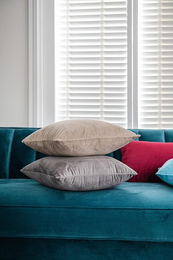 Decorative Pillow Covers 22x22 Taupe: 2 Pack Cozy Soft Velvet Square Throw Pillow Cases for Farmhouse Home Decor