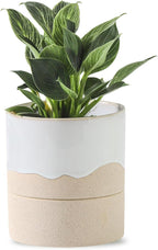 Nihow Self Watering Plant Pot: 4.5 Inch Ceramic Planter with Drainage Hole & Water Storage Plus for Indoor & Outdoor Plants - Cylinder Flower Pot for Herbs/Violets - White & Nature