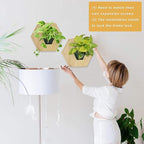 Hexagonal Wooden Wall Planter, Self Watering Living Vertical Planters Indoor, Wooden Frame Planter Wall Decoration Home Office 2pc