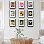 12 Packs A4 Picture Frames, Display 6x8 with Mat or 8.3x11.7 Without Mat, Gallery Wall Frame Set, 8.3 by 11.7 Frames Bulk Set of 12 Collage Wall Decor Photo Frames Set for Wall and Tabletop, Black