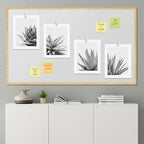 SIGNWIN Poster Set Black White Snake Plant Agave Cactus Succulent Close Up Floral Botanical Photography Modern Art Decorative Scenic Multicolor Nature Wilderness for Bedroom - 11"x14"x4
