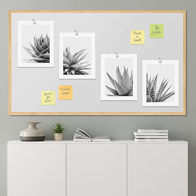 SIGNWIN Poster Set Black White Snake Plant Agave Cactus Succulent Close Up Floral Botanical Photography Modern Art Decorative Scenic Multicolor Nature Wilderness for Bedroom - 11"x14"x4