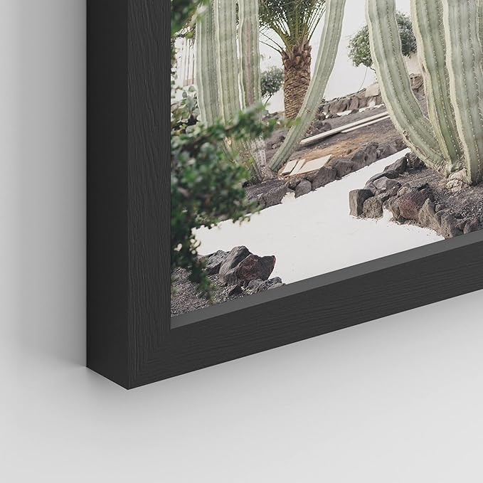 SIGNWIN Framed Cactus Desert Wall Art, Set of 4 Cactus Desert Wall Decor Prints, Nature Wilderness Wall Décor for Living Room, Bedroom - 11"x14"x 4 Black