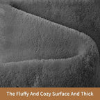 Sour Lemon 6x9 Area Rugs for Living Room, Soft Large Area Rug Fluffy Rugs for Bedroom，Machine Washable Area Rug Non Slip Carpet Rug for Living Room Playroom Kids Room Home Decor